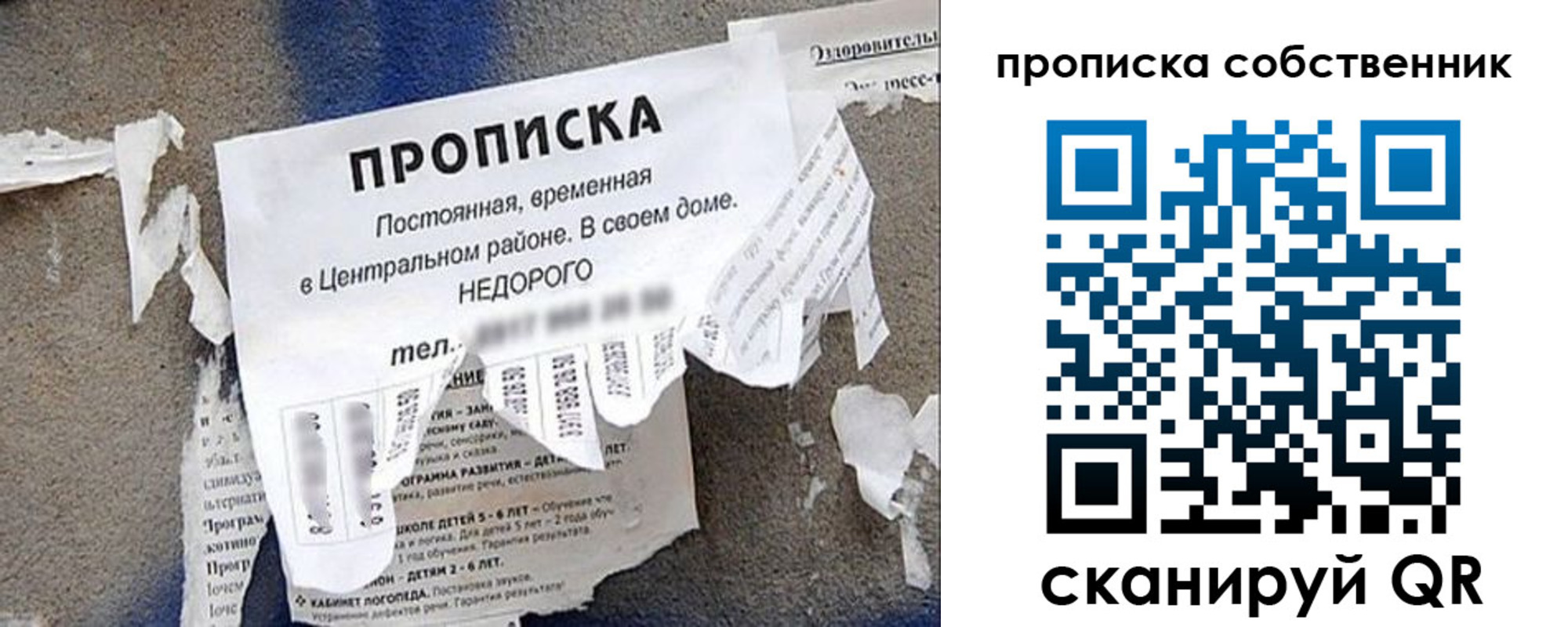 прописка законно в Тимашёвске